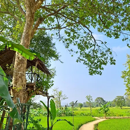 The Nature Park Villa-2