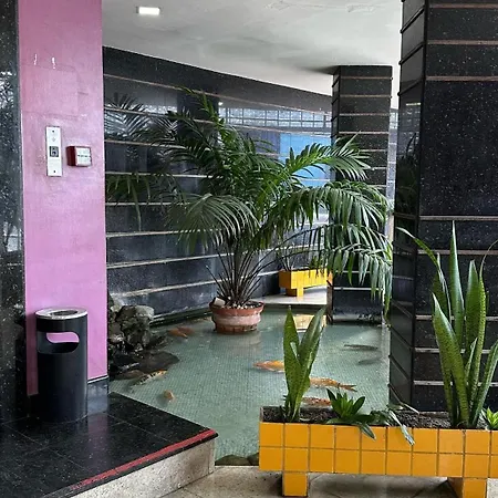 Hotel Novo Plano-3