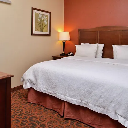Hampton Inn Idaho Falls / Airport-2