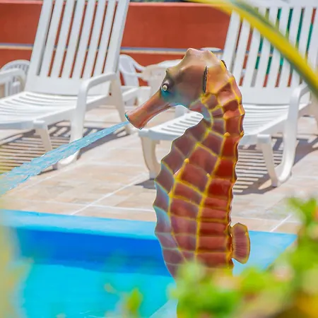 Brisa do Mar Beach Hotel-3