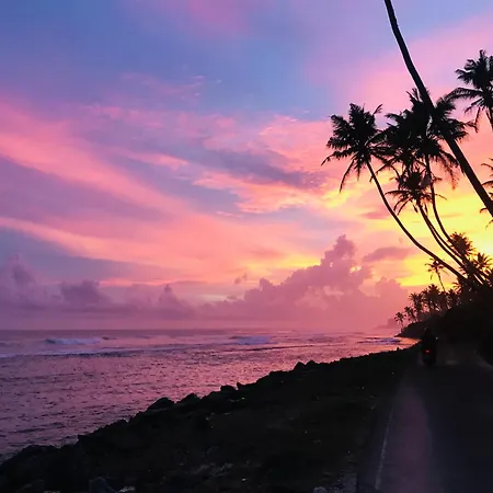 Turtle Eco Beach-3