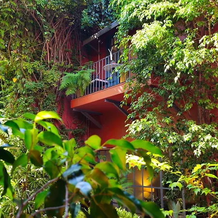 Be Jardin Escondido By Coppola-3