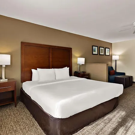 Comfort Inn & Suites Sequoia Kings Canyon-3