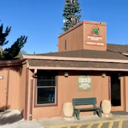Sedona Pines Resort-3