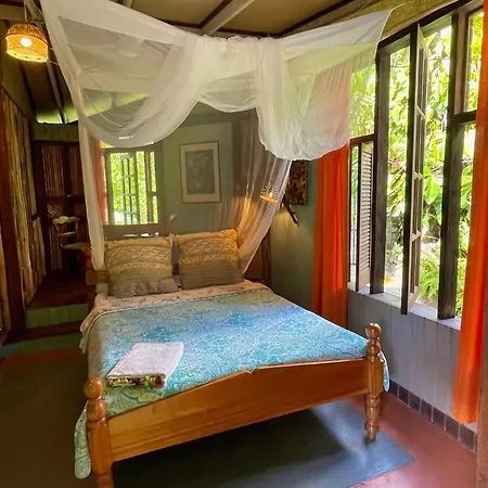 Cocoa Cottage-3