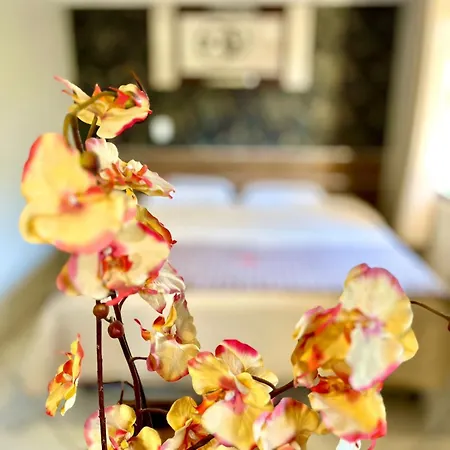 Hotel Fenice-3