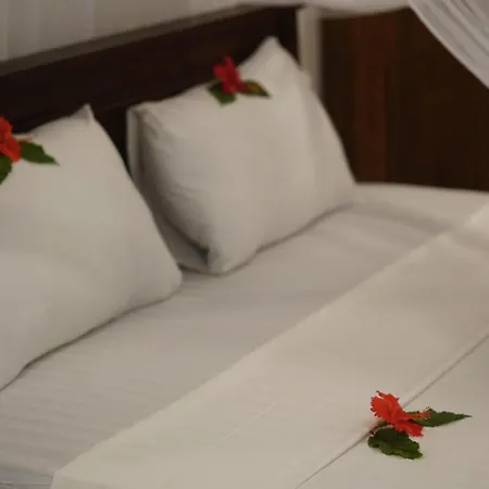 Turtle Bay Beach Resort-2