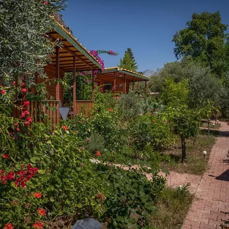 Felicity Hotel & Bungalows-2