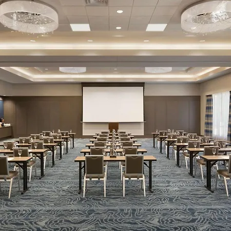 Embassy Suites By Hilton The Woodlands-3