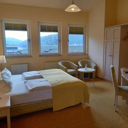 Parkhotel Bad Schandau - direkt an der Elbe-2