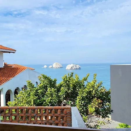 Hill House Mazatlan - Bed & Breakfast-3