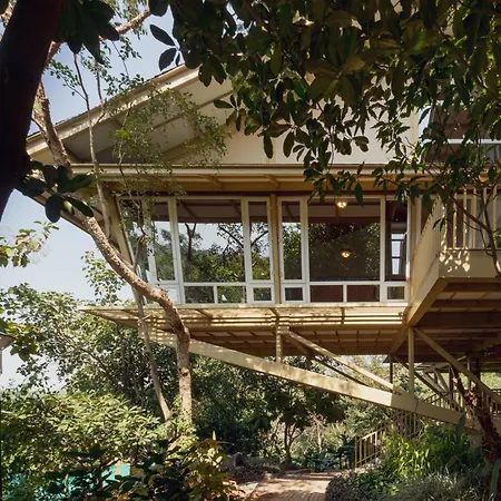 Grape County Eco Resort & Spa, Nashik-3