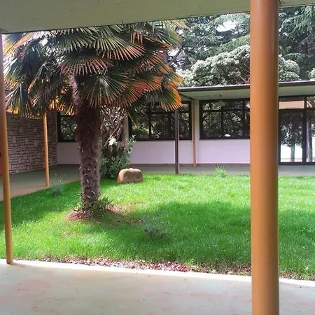 Family Bungalow Pineta-3