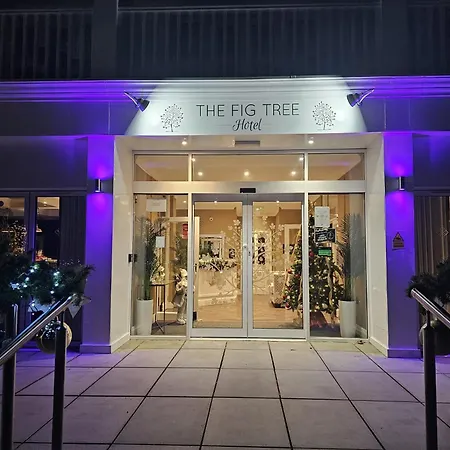 The Fig Tree Shanklin-2