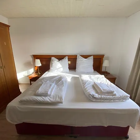 Hotel Vienenburg-3