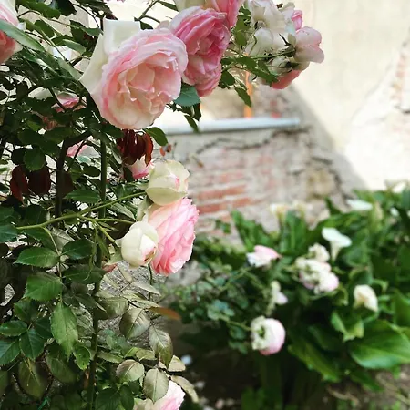 Victoria House B&B-2