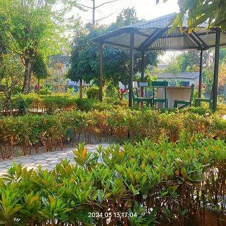 Hotel Butterfly - Peaceful Garden For Nature Lovers-3