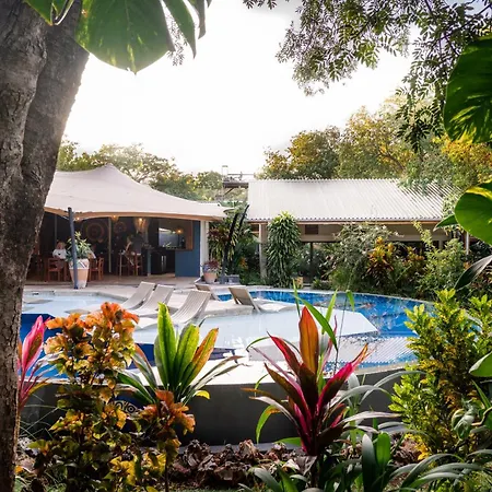 Shongwe Oasis-2