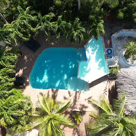 Woodstock Palmresort Curacao-3