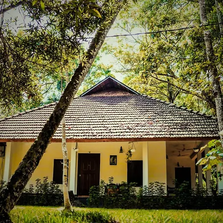 Marari Beach Palace-2
