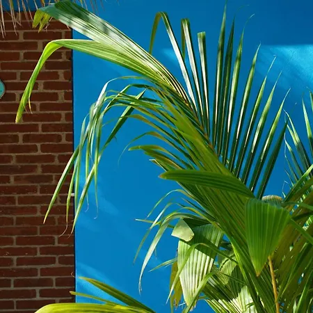 Ocean Oasis Hotel - Adult Only, Four Casitas Boutique Resort-3