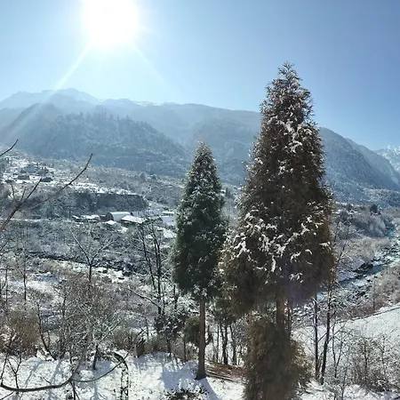 Montanamar Lachung-3