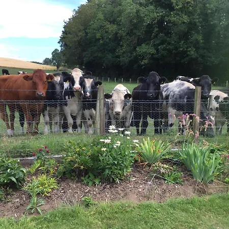 Retreat At The Knowe Auchincruive Estate-2