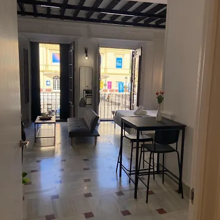 Casa Cervantes Malaga-3