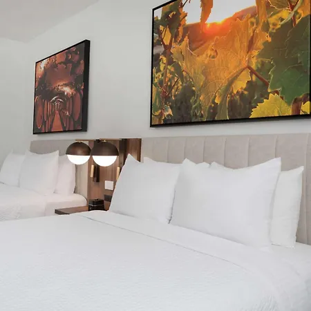La Quinta Inn & Suites By Wyndham Galt Lodi North-3