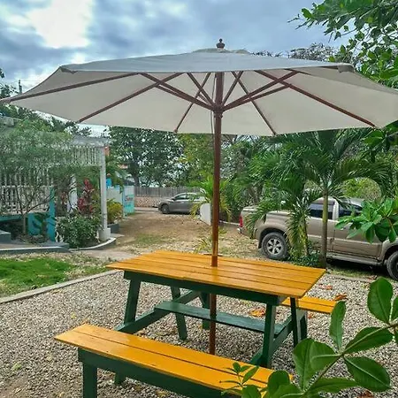 Shades Of Summer Apartments In Negril With Kitchen-3