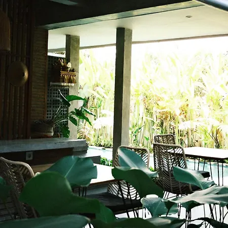 Griya Tropical-2