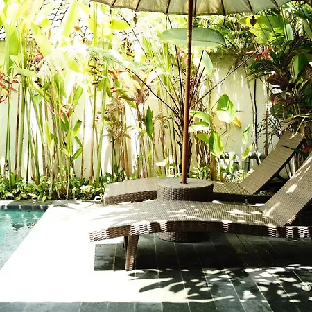 Griya Tropical-3