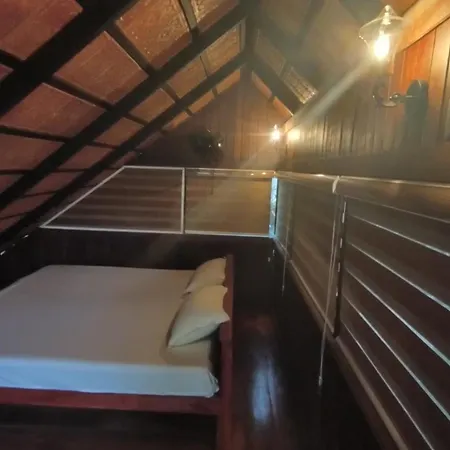 Tree House Wayanad-3