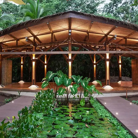 Hotel Aguas Claras Member Of The Cayuga Collection-2