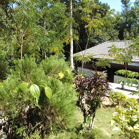 Seattle Garden Resort - Kollihills-3