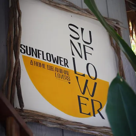 Sunflower Guesthouse And Animal Rescue - Koh Lipe-3