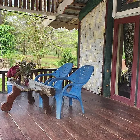Sumatra Monkey Trekking-3
