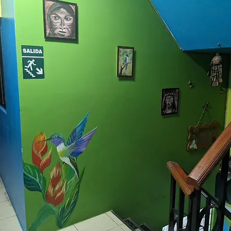 Amazon Dream House With Ac And Starlink-3