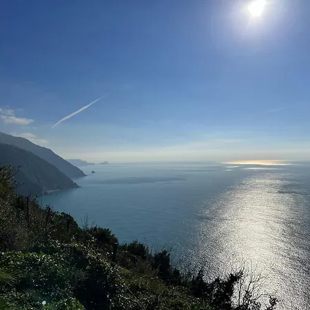 La Baia Di Rio-3