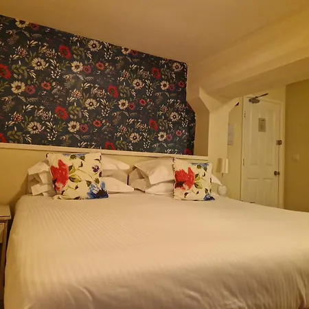 Y Branwen Restaurant & Rooms - Adult Only And Dog Friendly-3