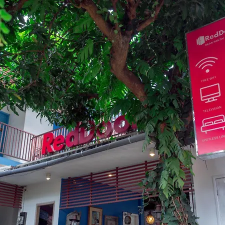 Reddoorz Near Pantai Sanur Bali-2