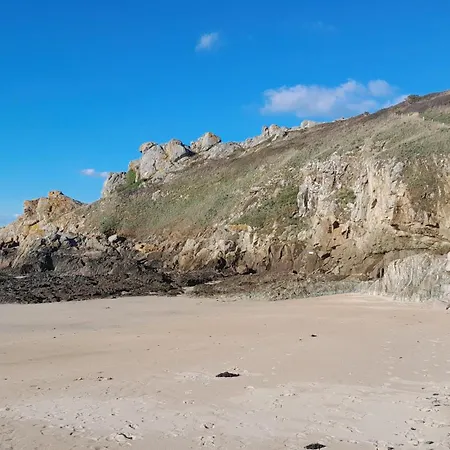 L'Agapanthe-3