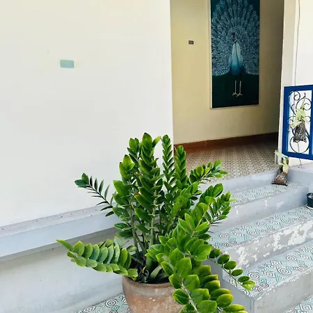 Zen Boutique House-2