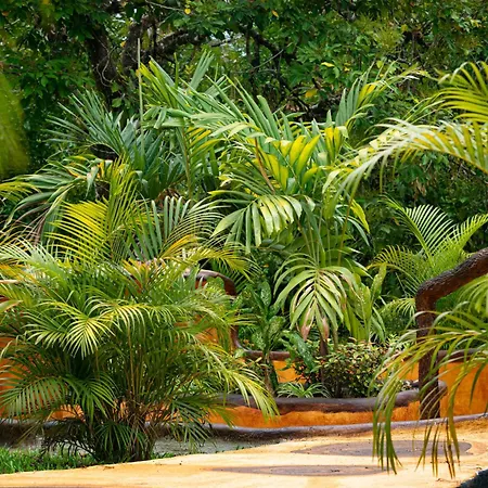 Hotel Heliconias Nature Inn & Hot Springs-3