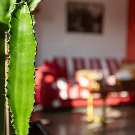 Chambre D'Amis - Chambres D'Hotes-B&B-Guest House-2