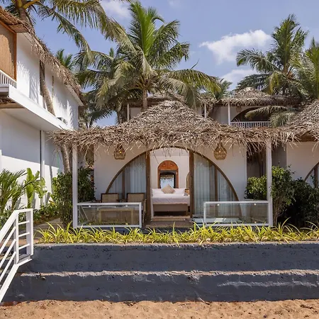The Shore Agonda-3