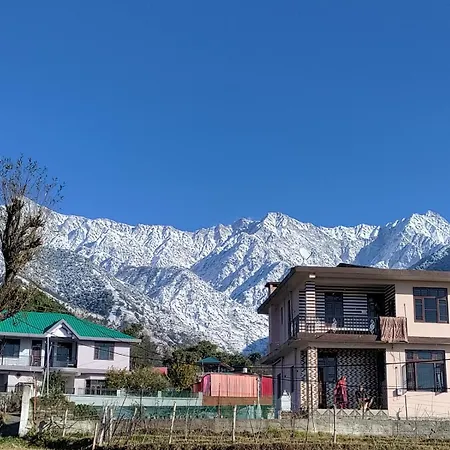 Homestay Palampur View-3