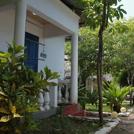 Driftwood Beach Lodge-3