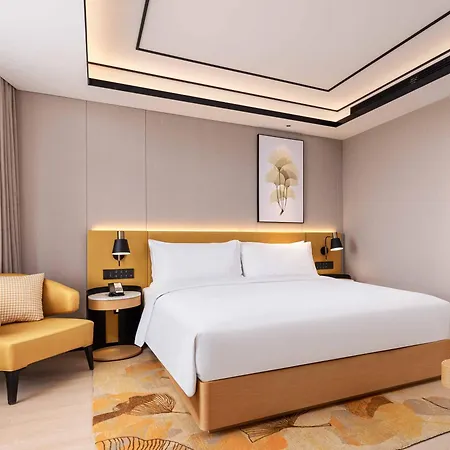 Hilton Garden Inn Beijing Temple Of Heaven East Gate Station-2