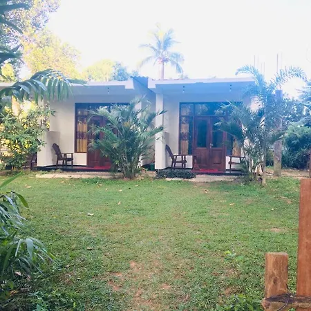 Pineapple Inn-3